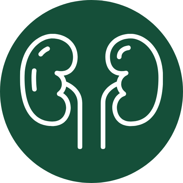 Transplante Renal