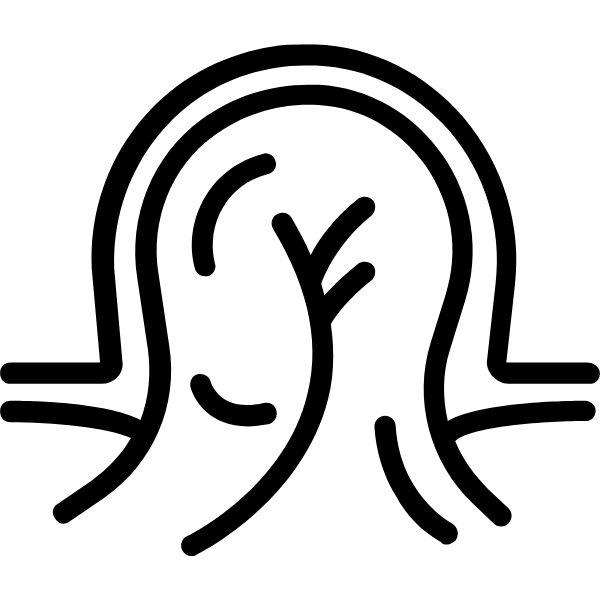 Hernias abdominales