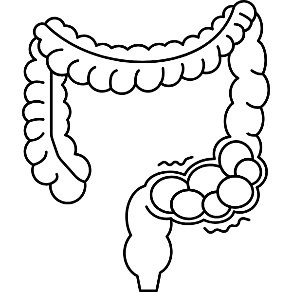 Oclusión intestinal