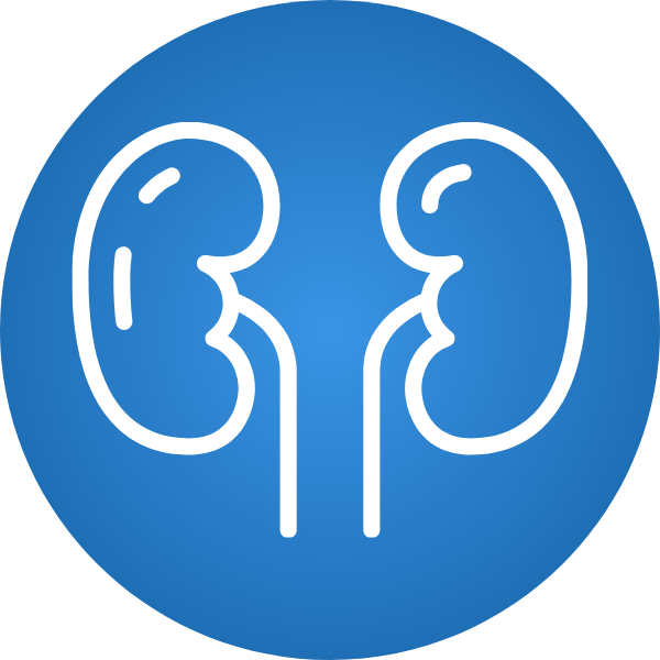 Transplante Renal